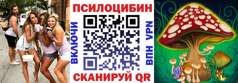 Псилоцибиновые грибы GOLDEN TEACHER  Михайловск 